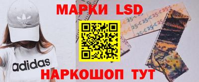 стафф Пенза