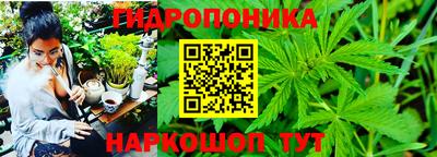 бошки Партизанск