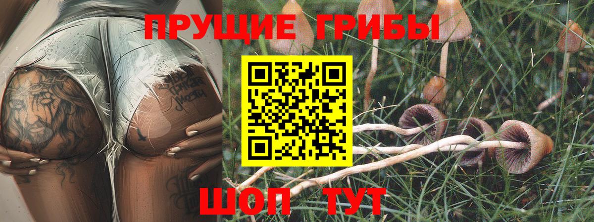 Галлюциногенные грибы GOLDEN TEACHER  Вход с VPN  Нягань 
